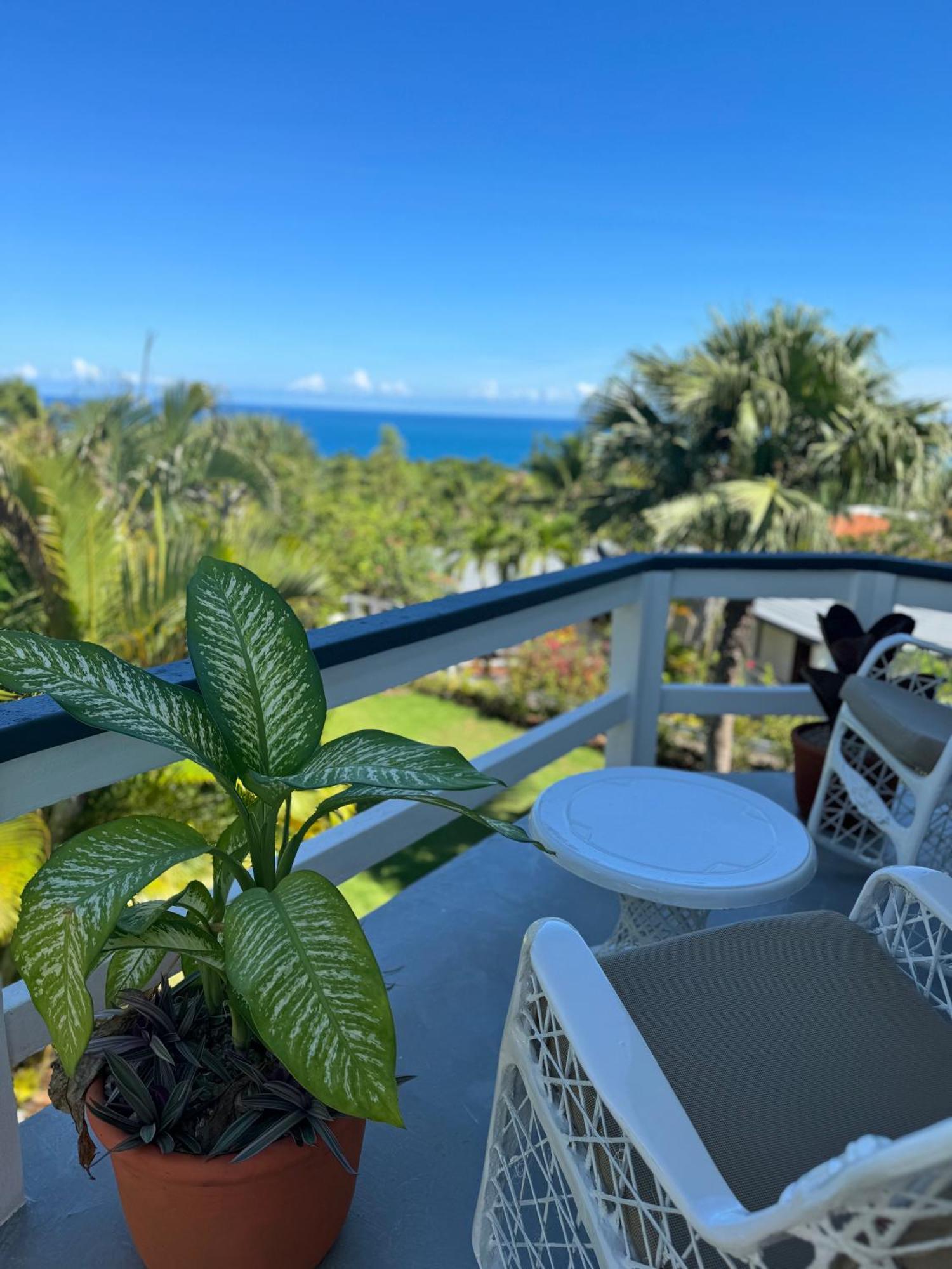 Catalina, Cabrera Oceanview Multi 2 Bd 2 Bath Condo Units With Balcony And Pool Exteriér fotografie